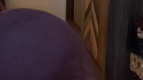 Raje online show from November 15, 2025, 4:03 pm