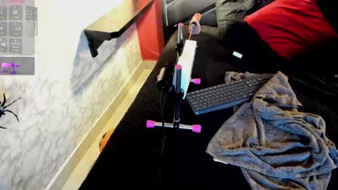 Ivis  online show from October 21, 2025, 12:28 pm