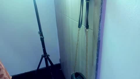 Diana Rojas  online show from February 4, 2025, 11:27 pm