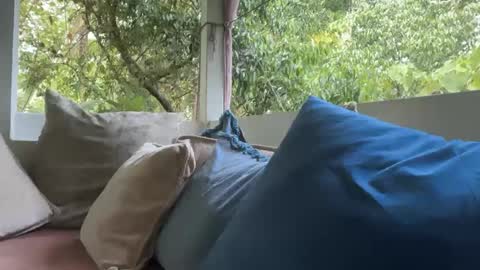 Snapshot of ivysagex chatting on September 12, 2025, 1:17 am ivysagex online show from September 12, 2025, 1:17 am