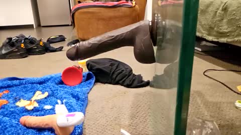 j220231 online show from December 4, 2025, 12:25 pm