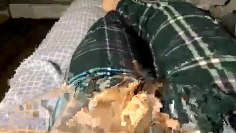 Snapshot of jaaltar chatting on December 3, 2025, 2:41 am Jaaltar online show from December 3, 2025, 2:41 am