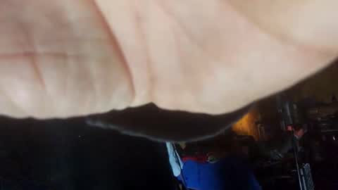 Dess online show from January 24, 2025, 11:04 am