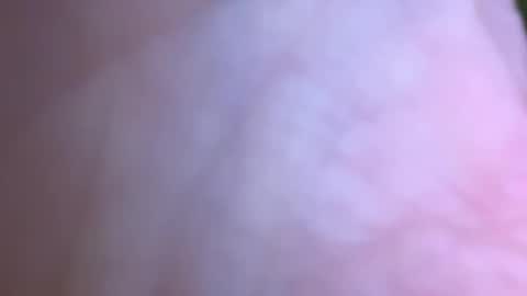 jackjackerman online show from May 16, 2026, 2:49 pm