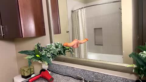 Jack Xavier  Missy online show from February 12, 2026, 3:45 am