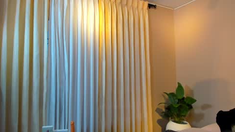 Jackson Bell online show from December 19, 2024, 1:07 pm