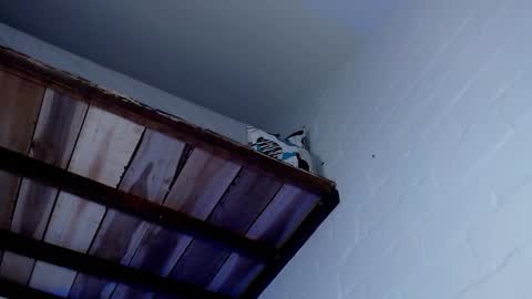 Michael Caicedo online show from March 12, 2025, 7:57 am