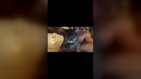 Jacob online show from December 17, 2025, 10:49 pm