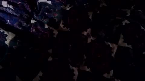 Snapshot of jadon2bnu2nt chatting on February 2, 2025, 4:11 pm Jason online show from February 2, 2025, 4:11 pm