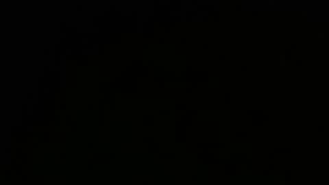 Jamie Rose Queenschild ever... online show from February 8, 2025, 7:37 am