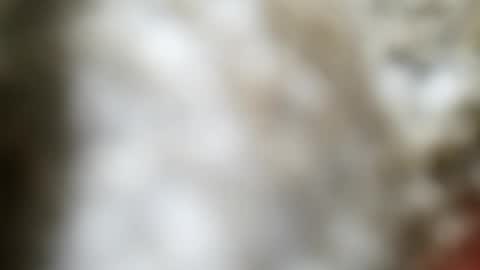 Snapshot of jaimescook chatting on June 20, 2026, 12:03 am james online show from June 20, 2026, 12:03 am