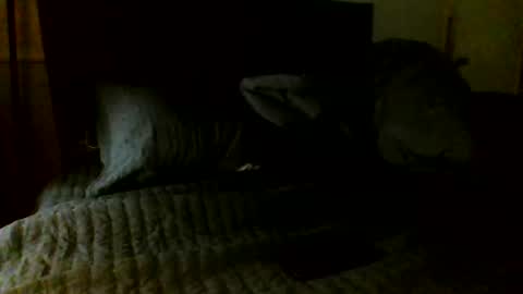 Jamacian online show from November 7, 2025, 5:07 am