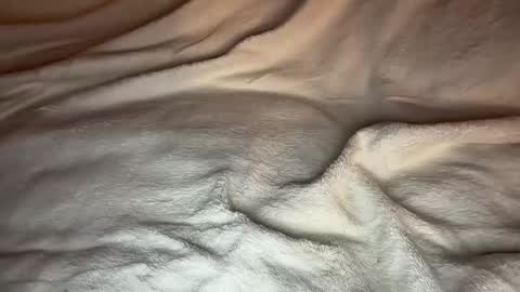 jamesdean0101 online show from January 14, 2026, 10:47 pm