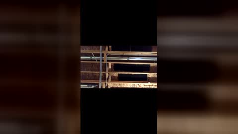 jamie19905 online show from March 4, 2026, 3:45 am