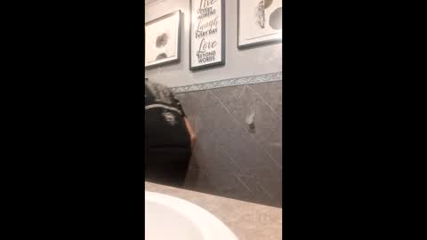 Supafly307blueeyes9in online show from October 4, 2025, 1:42 pm