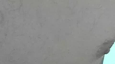 Snapshot of jamwarnerone chatting on July 28, 2026, 6:20 pm Bootyshows online show from July 28, 2026, 6:20 pm