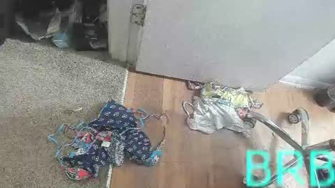 Snapshot of jamwarnerone chatting on August 2, 2026, 3:54 pm Bootyshows online show from August 2, 2026, 3:54 pm