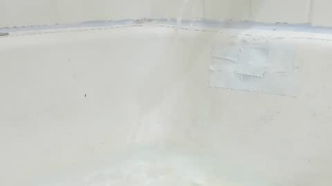 Snapshot of jamwarnerone chatting on August 4, 2026, 3:58 pm Bootyshows online show from August 4, 2026, 3:58 pm