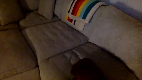 janicepepper online show from May 21, 2026, 8:54 am