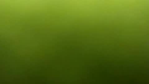 jarret8222 online show from March 5, 2026, 9:27 am