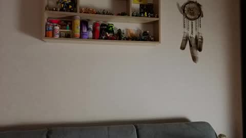 jastinpet online show from November 13, 2025, 7:13 pm