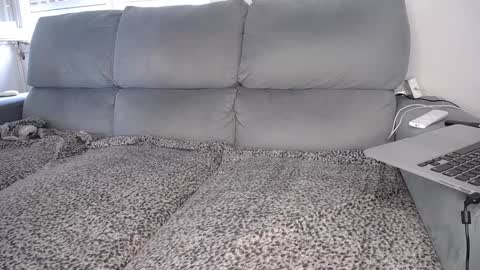 Snapshot of javierandaniel chatting on December 7, 2024, 4:47 pm Javier online show from December 7, 2024, 4:47 pm