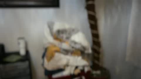 JAV online show from April 15, 2026, 2:29 am