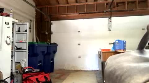 Jaws  online show from September 12, 2025, 7:36 pm