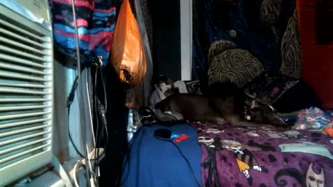 jaxxx666 online show from February 25, 2025, 4:46 am