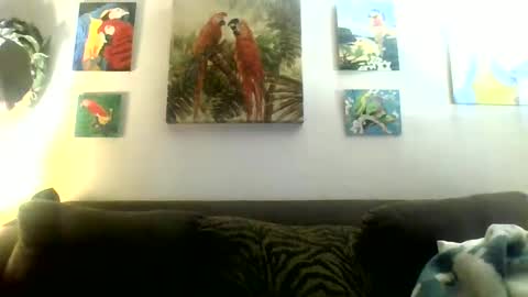 jay-jay1475 online show from January 20, 2025, 10:48 pm