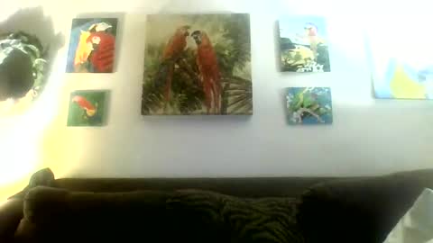 jay-jay1475 online show from January 21, 2025, 3:48 am