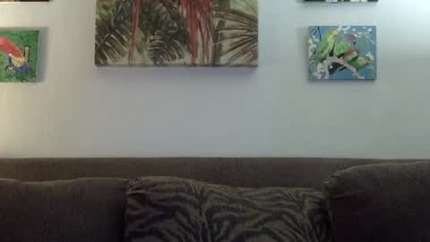 jay-jay1475 online show from January 22, 2025, 6:10 pm