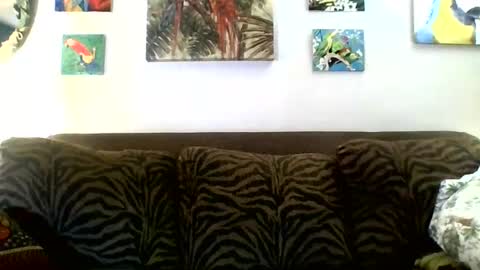 jay-jay1475 online show from March 8, 2025, 6:05 pm