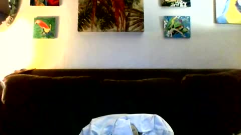 Snapshot of jay_jay1475 chatting on July 23, 2026, 6:50 pm jay-jay1475 online show from July 23, 2026, 6:50 pm