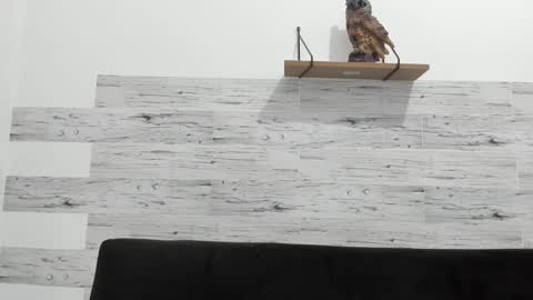 Jaycreedd online show from February 11, 2025, 2:57 am