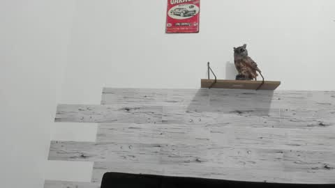 Jaycreedd online show from February 20, 2025, 4:39 am