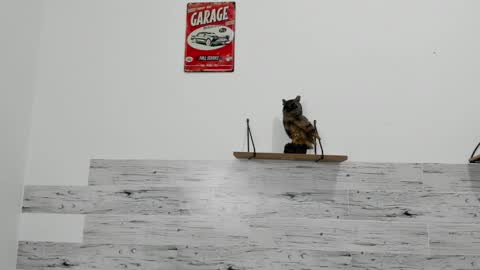 Jaycreedd online show from March 7, 2025, 4:46 am