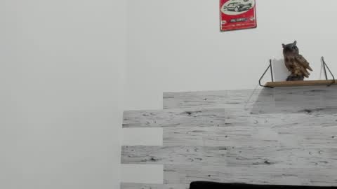 Jaycreedd online show from September 16, 2025, 11:50 pm