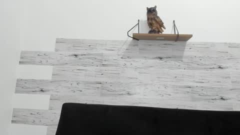 Jaycreedd online show from September 21, 2025, 12:12 am