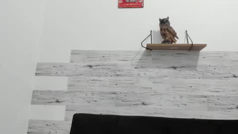 Jaycreedd online show from September 26, 2025, 2:37 am