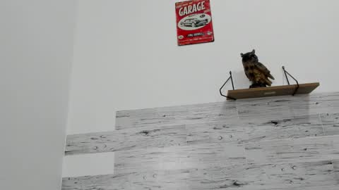 Jaycreedd online show from October 12, 2025, 10:09 pm