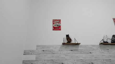 Jaycreedd online show from November 30, 2025, 8:13 pm