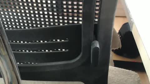 jc200000 online show from April 16, 2026, 5:25 pm