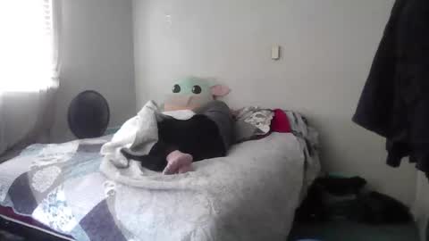 Snapshot of jd852013 chatting on February 11, 2026, 5:29 pm jd852013 online show from February 11, 2026, 5:29 pm