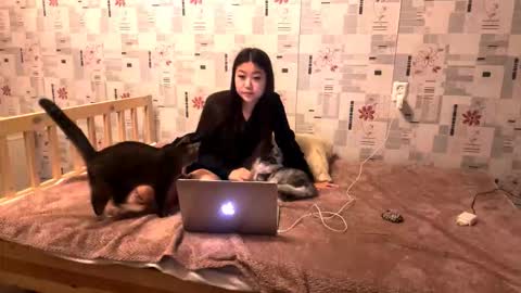 jeannettavidro online show from November 18, 2025, 3:05 pm