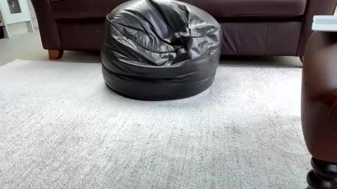 Sensual Jeeves online show from February 25, 2025, 3:16 pm