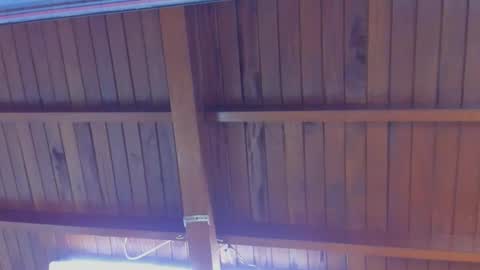 jeicob gagnon online show from February 21, 2025, 4:16 pm