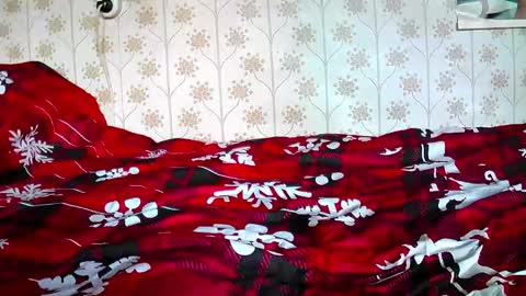 Snapshot of jellykulli chatting on December 31, 2024, 9:31 am jellykulli online show from December 31, 2024, 9:31 am