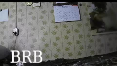 Snapshot of jellykulli chatting on March 3, 2025, 4:24 pm jellykulli online show from March 3, 2025, 4:24 pm