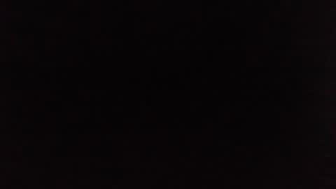 Jelly online show from January 4, 2025, 8:16 pm